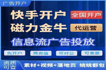 大数据分析在竞价广告中的应用